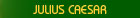All about Julius Caesar