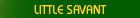 All about Little Savant